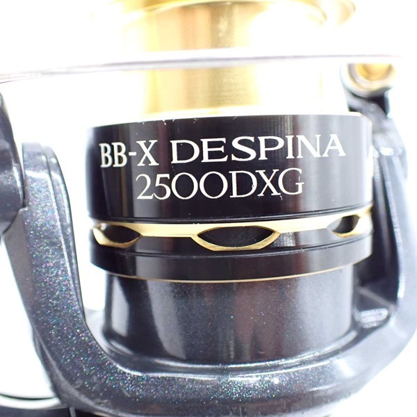 １１ＢＢ－Ｘ デスピナ２５００ＤＸＧ